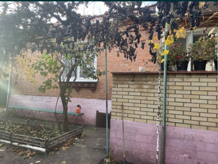 Продам окремий будинок - фото 1