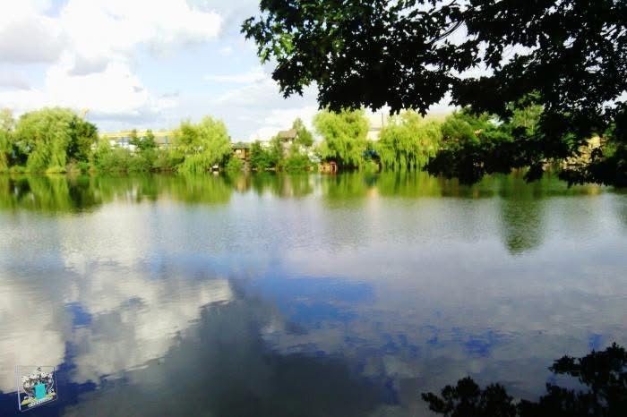 Продам будинок з гарним краєвидом, м.Житомир - фото 1