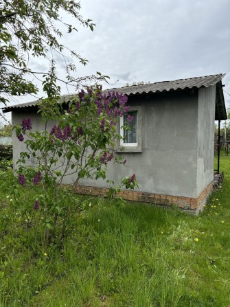Продам будинок з землею село Гурівщина Киівська область - фото 1