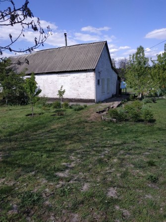 Будинок в Кривушах - фото 1