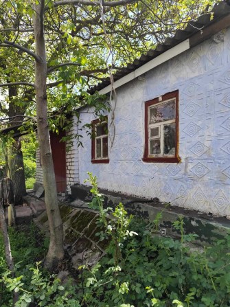 Ціна вниз! Продам будинок 2 Занасип з приват. землею 10 соток - фото 1