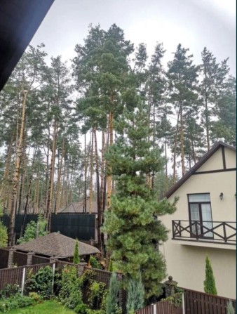 Будинок дуплекс у Лісовій Бучі! Газове опалення - фото 1