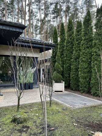 Купити будинок з ремонтом у лісовій Бучі - фото 1