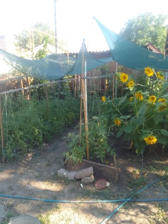 Продаю дачу на Зарічному - фото 1