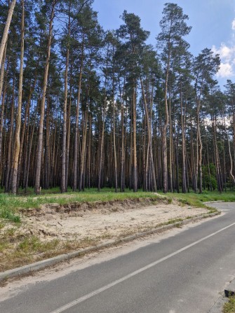 Продаж величезного дуплексу з ШИкарними соснами і озером неподалік - фото 1