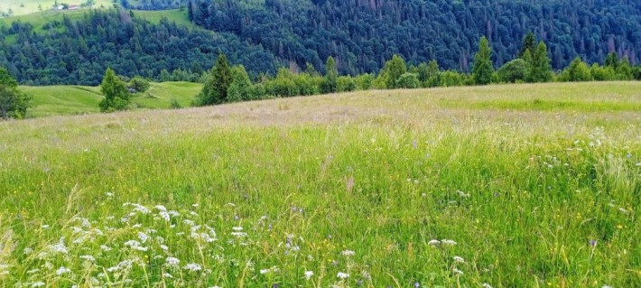 Продається ділянка в Яремчі - фото 1