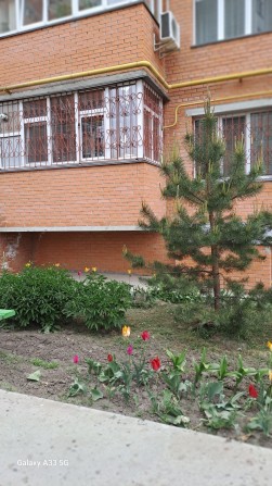 Оренда однокімнатної квартири - фото 1
