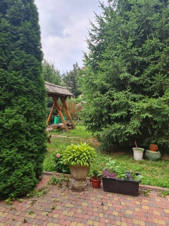 Здається в оренду 3х кімн кв-ра Нвпівособн типу біля Угорського консул - фото 1