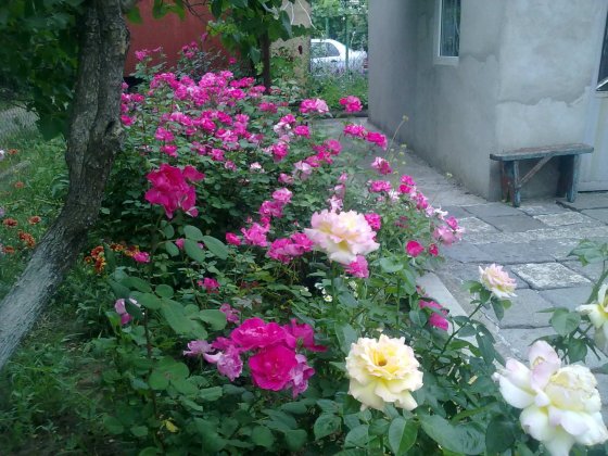 Светлое дачи, дачный домик с незавершенным строением, гаражом, участком.