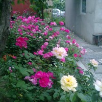 Светлое дачи, дачный домик с незавершенным строением, гаражом, участком. Одеса