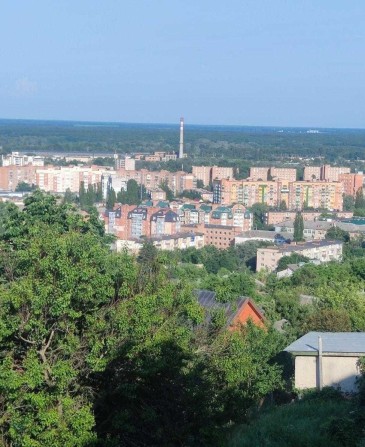 Здається 1-кімнатна квартира в центрі - фото 1