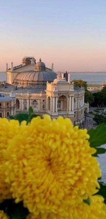 Сдам долгосрочно комнату в старом фонде - фото 1