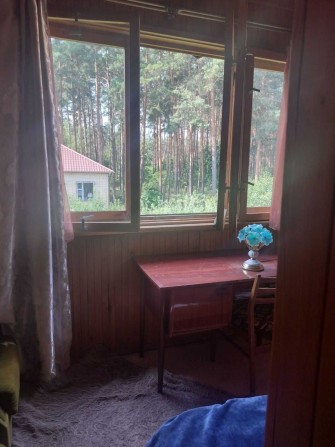 Здам дачу будинок поруч річка та ліс - фото 1