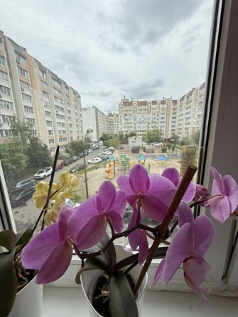 Оренда 3 кім. кв. на Святоюріївській в м. Вишневе, 85 м2 - фото 1