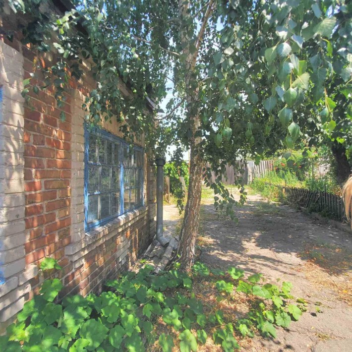 сдам дом в Соловьиной роще - фото 1