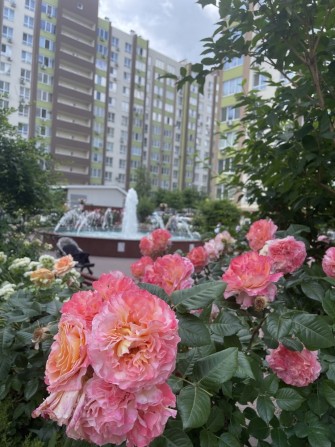 Здається 1-кімнатна квартира 42м2 вул. Шалімова 69 - фото 1
