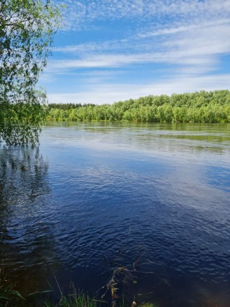 ЗДАМ ДАЧУ РОЖНИ Десна ТРУДОВИК  власник  червень-жовтень - фото 1