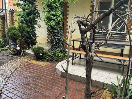 ДАЧА біля моря подобовоБурлача балка Совіньйон ВІЛЬНІ ДАТИ з 17.08 Чорноморськ