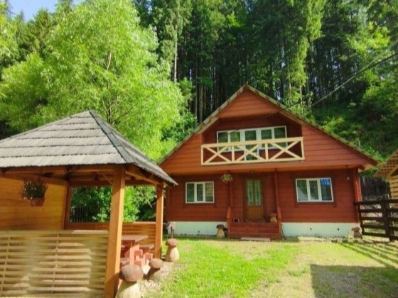 Відпочинок у Карпатах , Затишні Карпати Синевирская Поляна