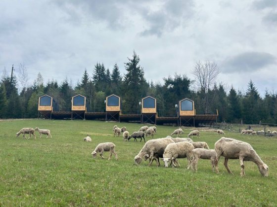 Відпочинок у Карпатах Поляниця