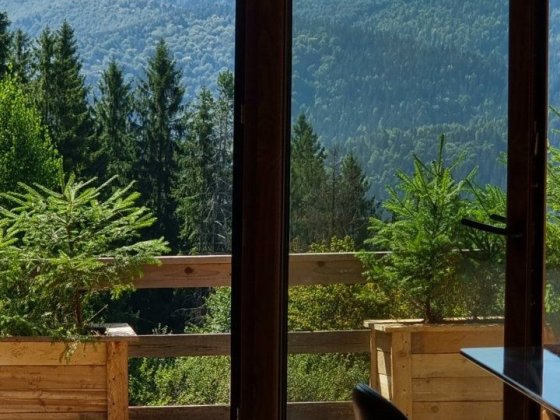 Будинок в Карпатах відпочинок Микуличин