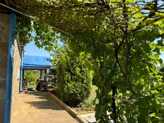 Здається в оренду великий деревяний будинок Вишенки