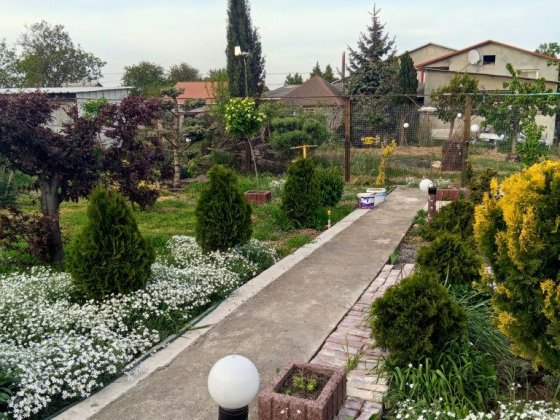 Сдам дом Фонтанка 3 Фонтанка