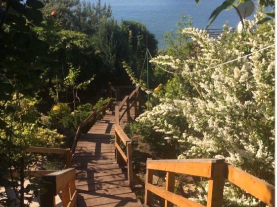 Сдаётся дача на берегу моря со своим пляжем Новая Дофиновка