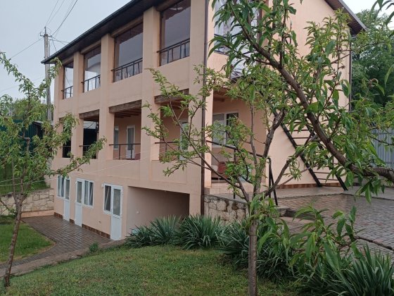 Відпочинок. Бакота/Стара ушиця, біля річки Дністер