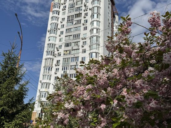 Квартира подобово в центрі Вышгород