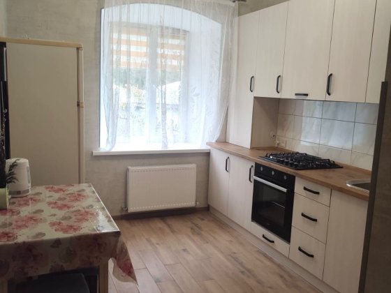 Подобова оренда будинку біля водойми в центрі Кам’янця-Подільського! Кам'янець-Подільський