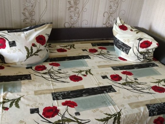 Подобова оренда квартир Канев