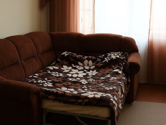 Квартира подобово, погодинно(посуточно, почасово) Смела