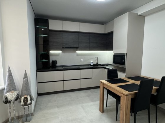 Подобова оренда 1 кімнатноі  квартири в центрі Кармелюка -Герцена Черновцы