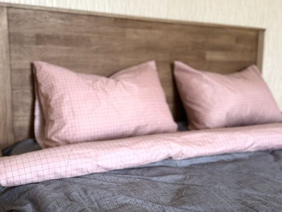 Подобово!2-к.Центр міста-найкраще розташування для відпочинку і роботи Чернигов