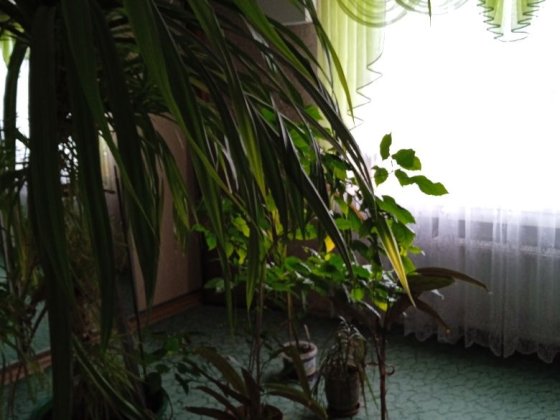 Здам кімнати подобово,по часово Кропивницкий