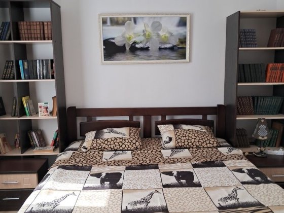 У самому центрі Одеси на вул Буніна біля Дерибасівській квартира подоб Одеса