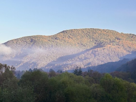 Здаються апартаменти біля санаторія "Квітка полонини" Солочин