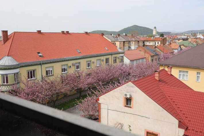 Однокімнатна квартира в центрі Мукачева, від забудовника. БЕЗ% - фото 1