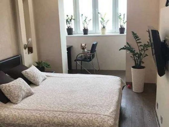 Продам 2-кімнатну квартиру на Оболонському проспекті Київ