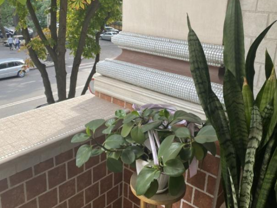 3 к. Еврейская. Общая площадь 111 м. Капитальный ремонт Одеса