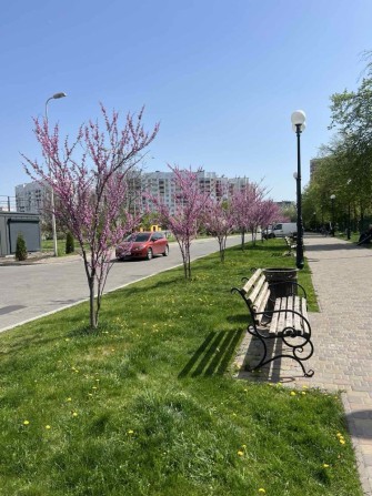 Продаж готових квартир від забудовника ЖК Сади Вишневі! - фото 1
