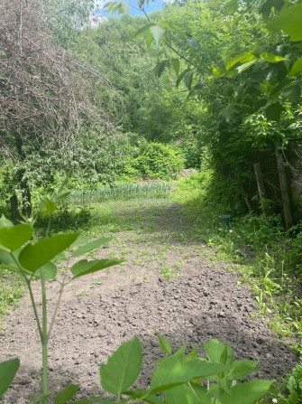 Продам 2 кім квартиру з земельним усастком по ціні гуртожитка - фото 1