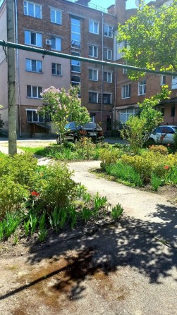 Оренда 3 кімнатної квартири в центрі міста - фото 1