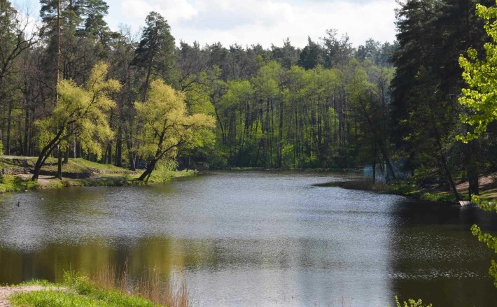 ПУЩА ВОДИЦЯ.  Будинок в лісі біля озера. вул. Лісна 60а - фото 1