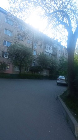 Здається квартира - фото 1