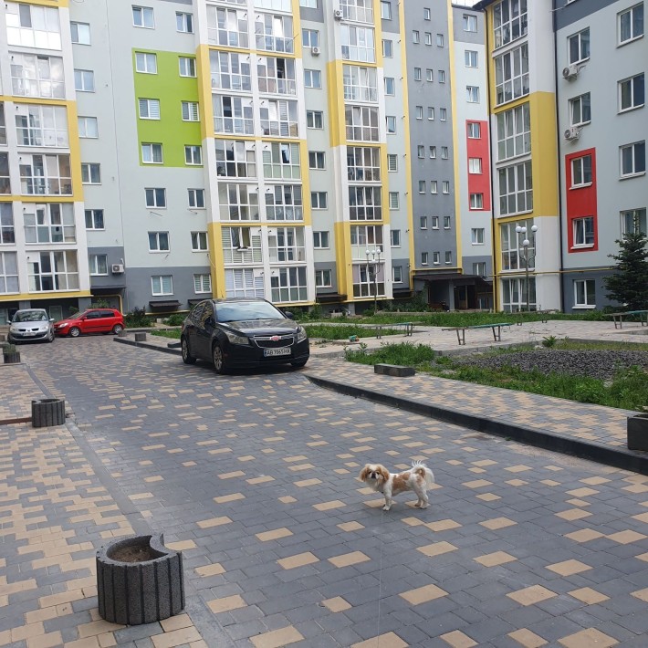 Здам в оренду  1  кімнатну квартиру.  Можна з  твариною. - фото 1