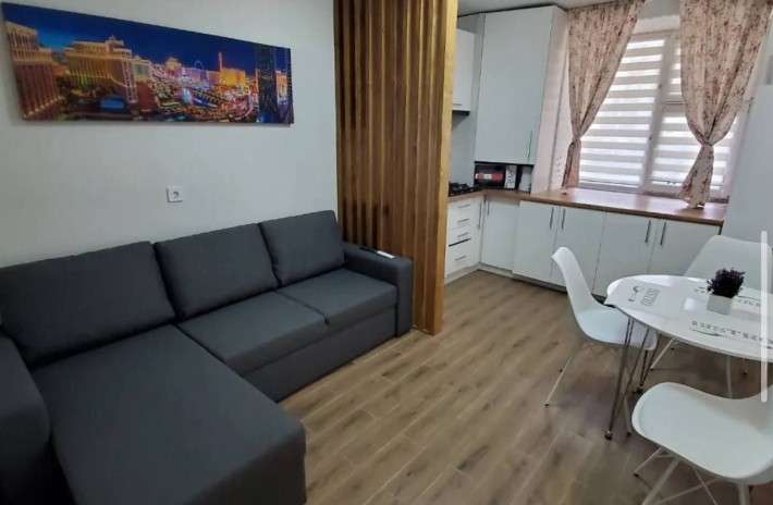 Здається Шикарна 1 кімната квартира на Поділля. - фото 1