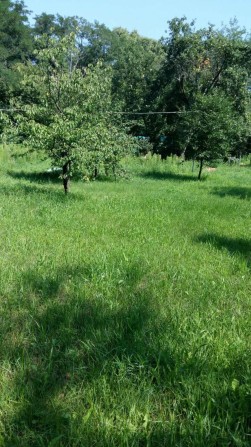 Оренда дачі ( напрямок Літки, Бровари) на літо - фото 1