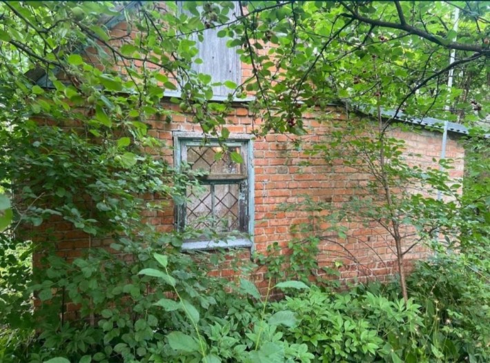 Здаю дачу промінь - фото 1